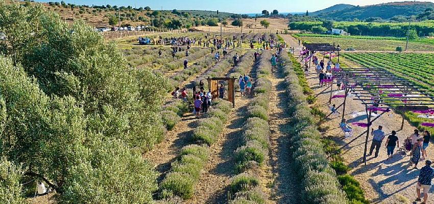 didimin-mis-kokulu-festivaline-vatandaslardan-yogun-ilgi.jpg