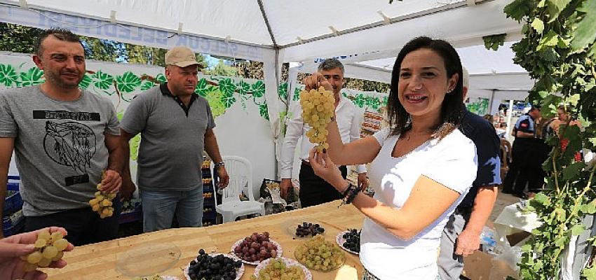 serefine-salkim-hanim-osmancik-uzum-senligi-bu-pazar-gokcealanda.jpg