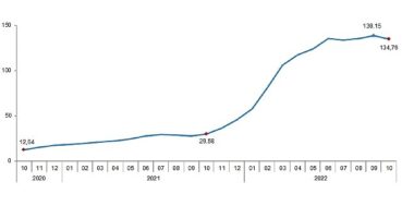 TÜİK Tarımsal girdi fiyat endeksi (Tarım-GFE) yıllık %134,76, aylık %2,68 arttı