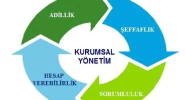 Girişimcilikte Kurumsal Yönetişim ve Şeffaflık İlkeleri