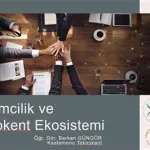 Girişimcilik Ekosistemi: Destek Programları ve Kaynaklar