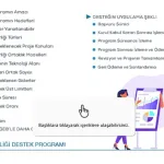 Yerli Girişimcilikte İş Birliği ve Destek Programları Önerileri