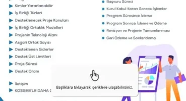 Yerli Girişimcilikte İş Birliği ve Destek Programları Önerileri