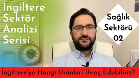 Yatırımcılar İçin Sektör Analizi ve Girişim Fırsatları İncelemeleri